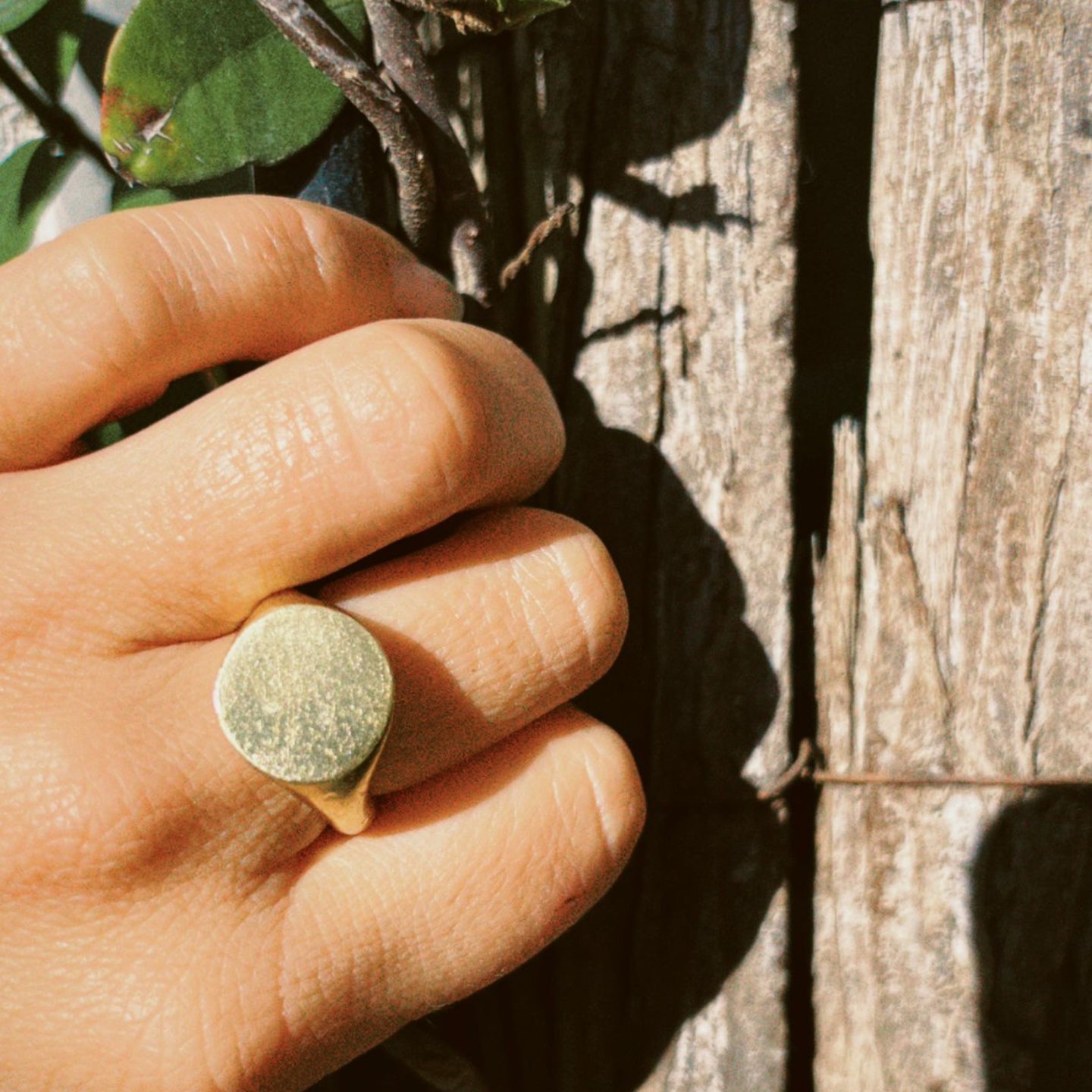 Signet Ring Gold Vermeil